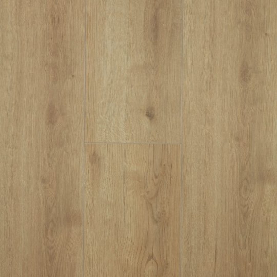 Adaja Oak