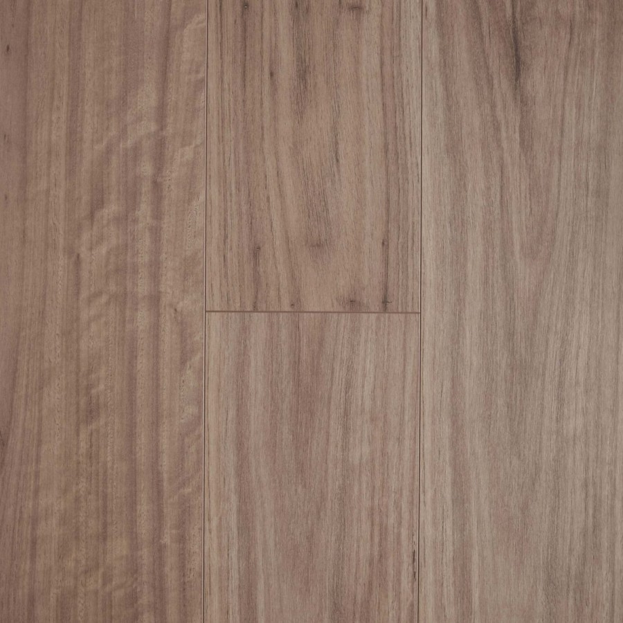 Blackbutt v2