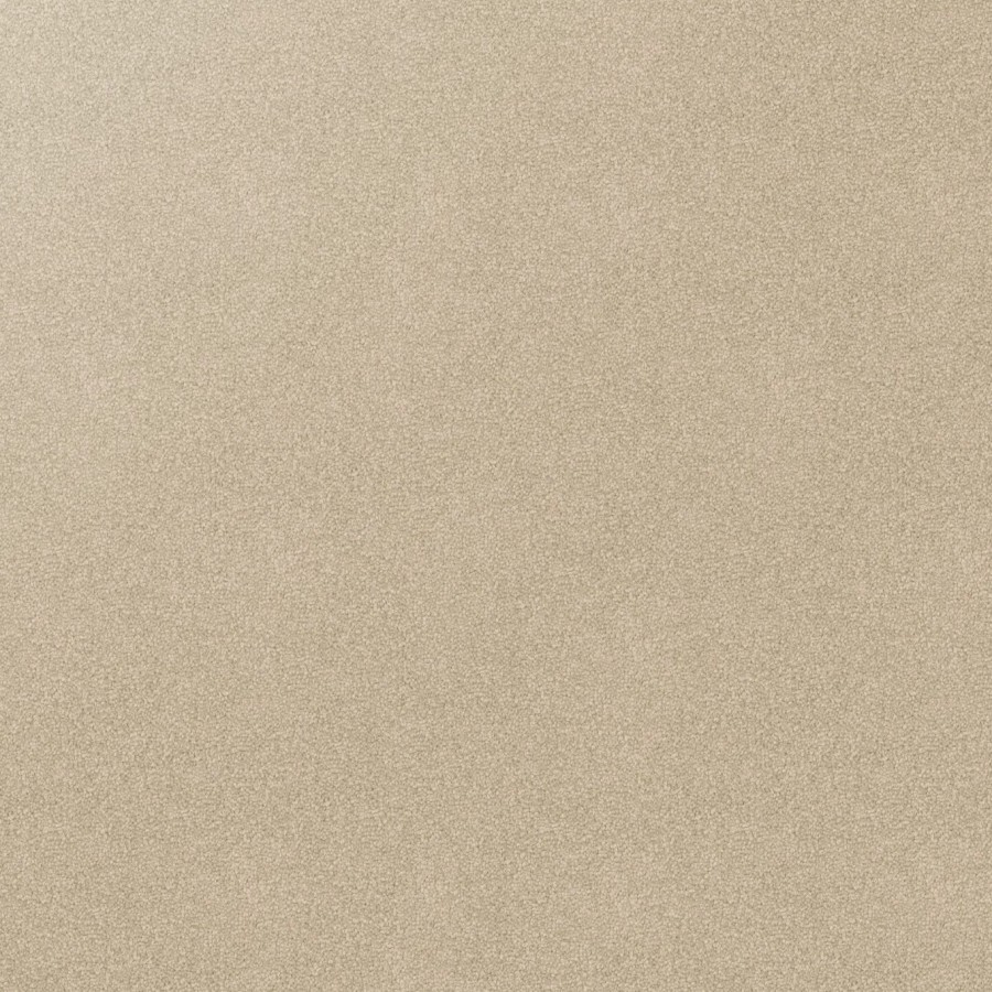 Cameo v3