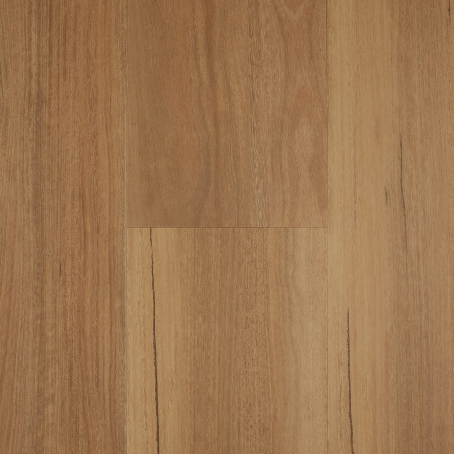 Classic Spotted Gum 1