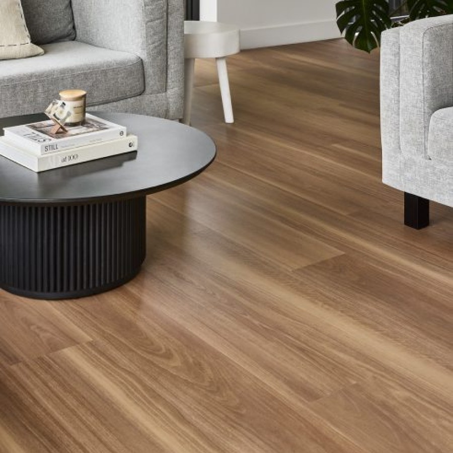 Classic Spotted Gum