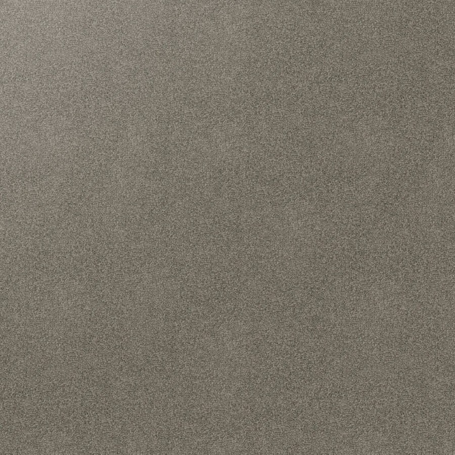 Dolphin v3