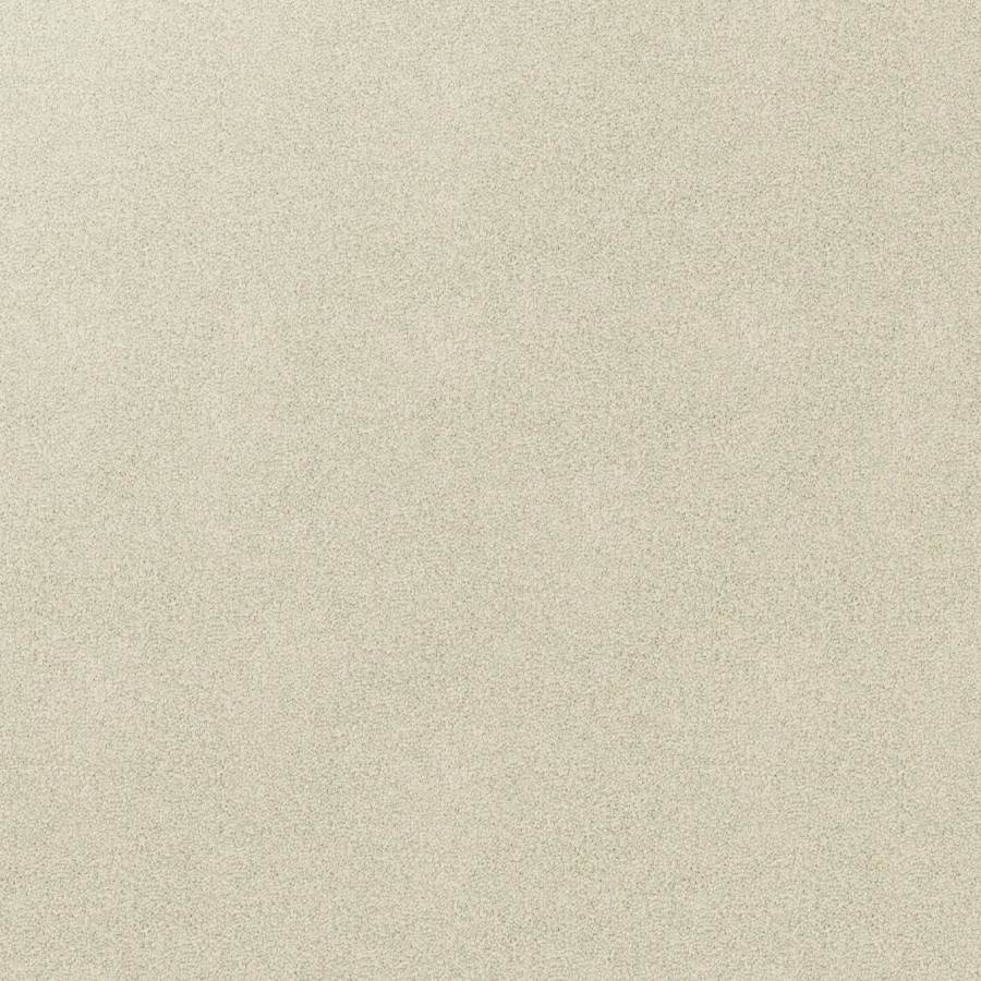 Dover White v3