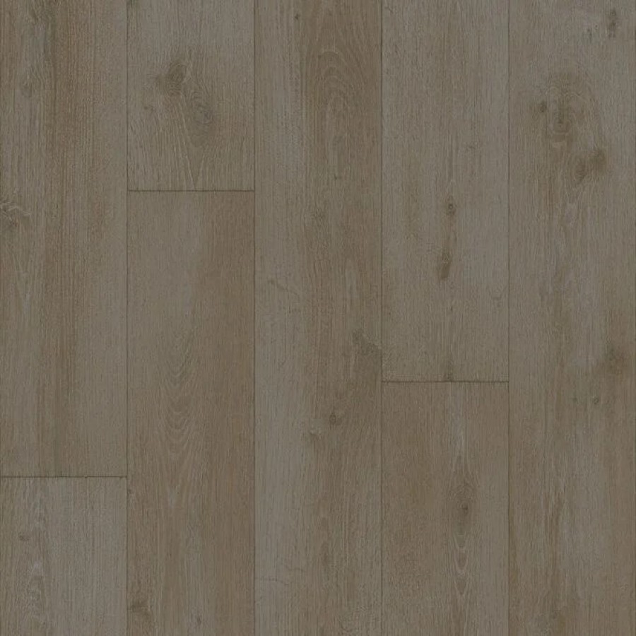 Forest Oak 221M