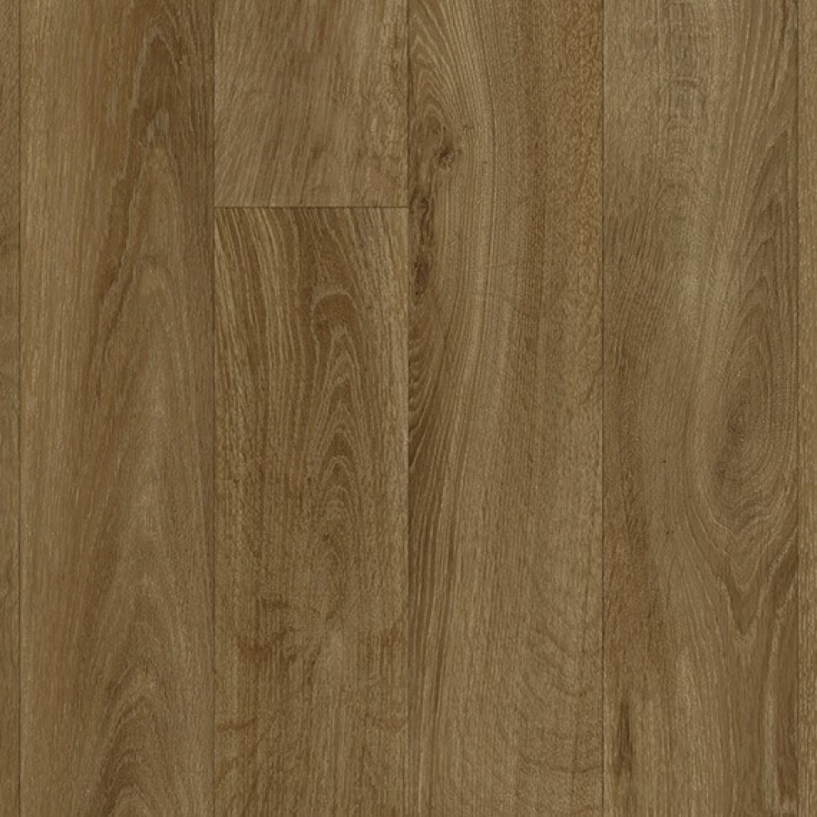 French Oak Warm Brown