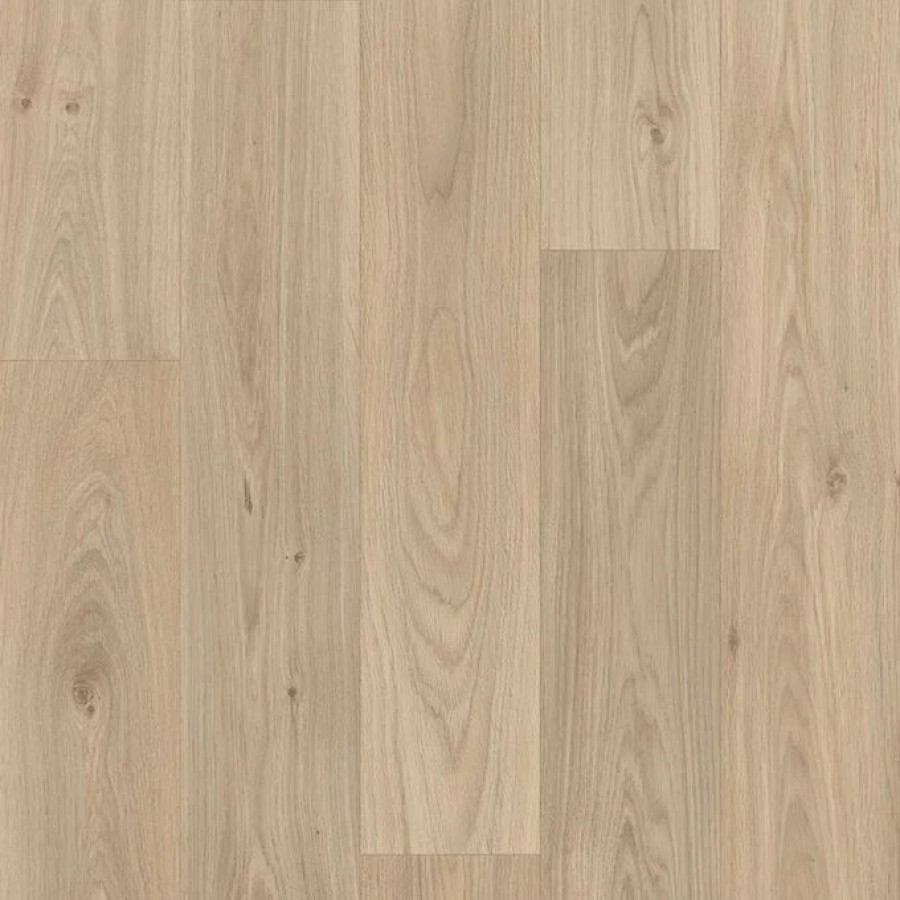 Gambel Oak 119M