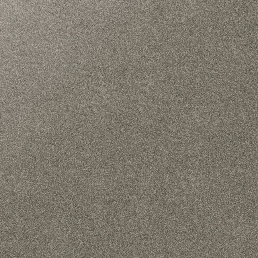 Grey Mood