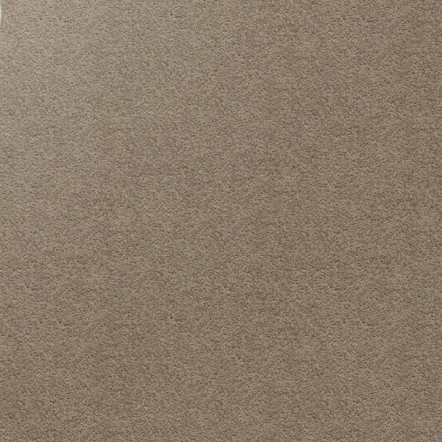 Grey Wacke