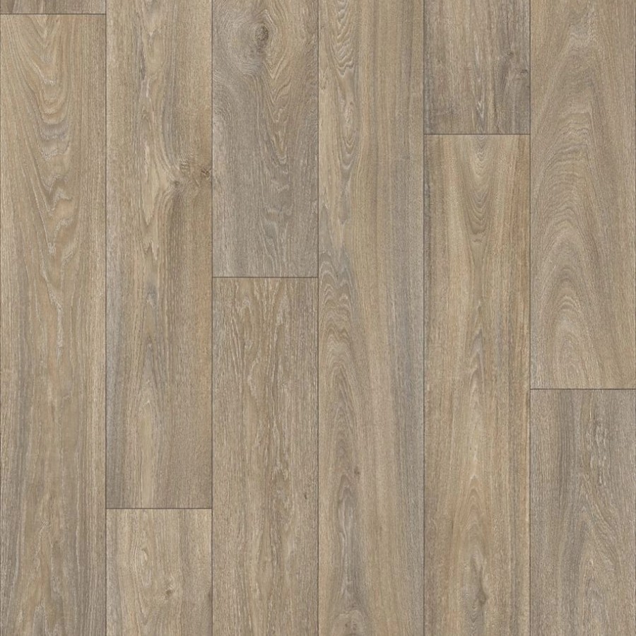 Havanna Oak 613M3 ScaleMaxWidthWzEwMDBd v2