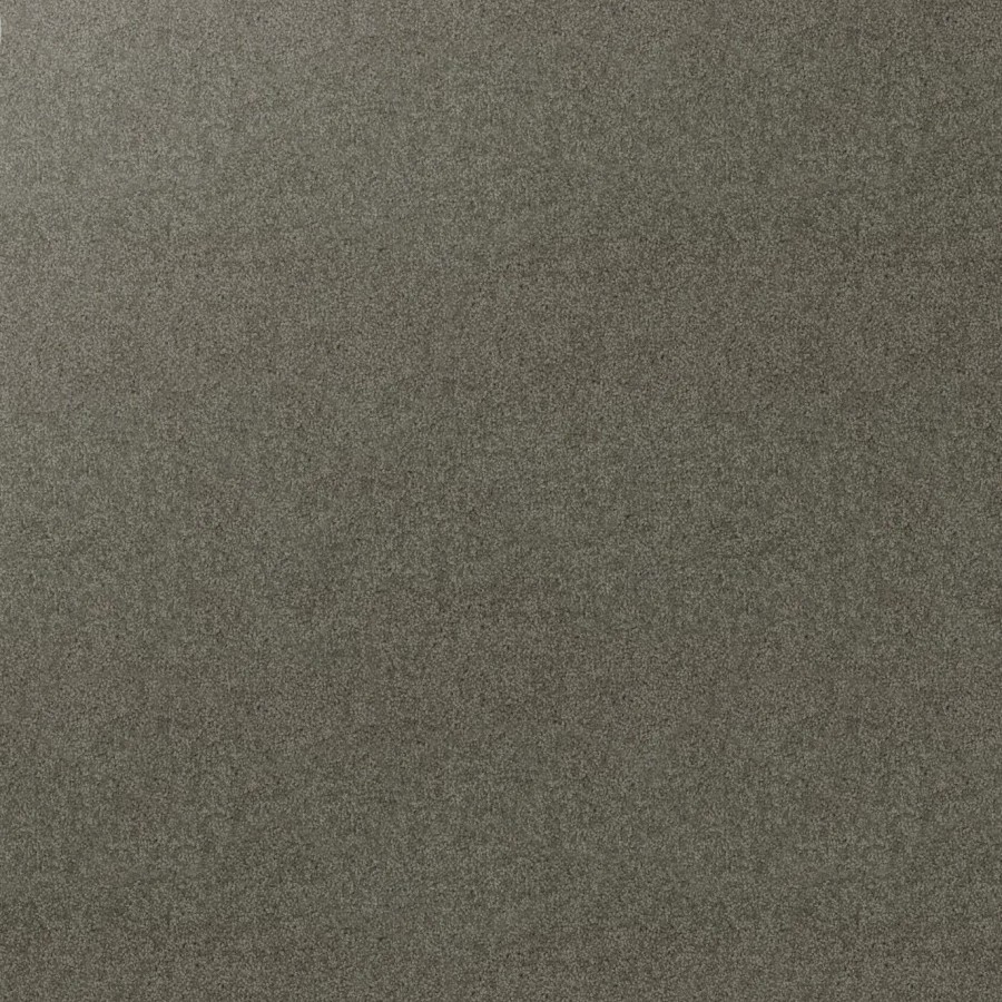 Horopito v2