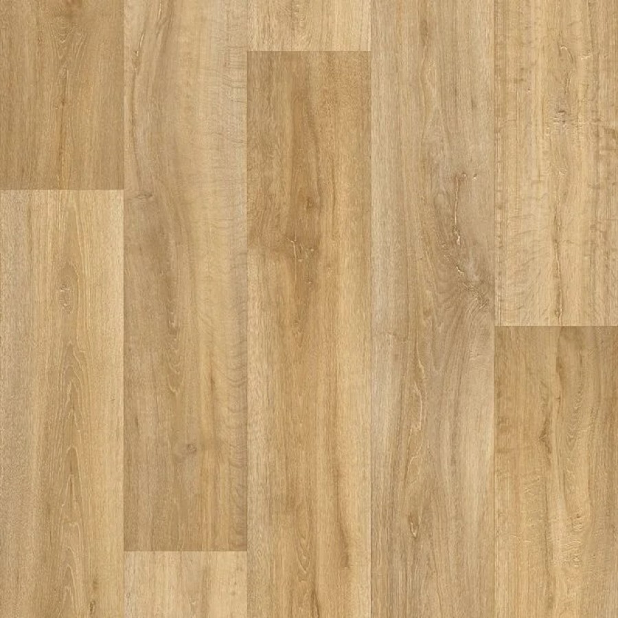 Lime Oak 316M