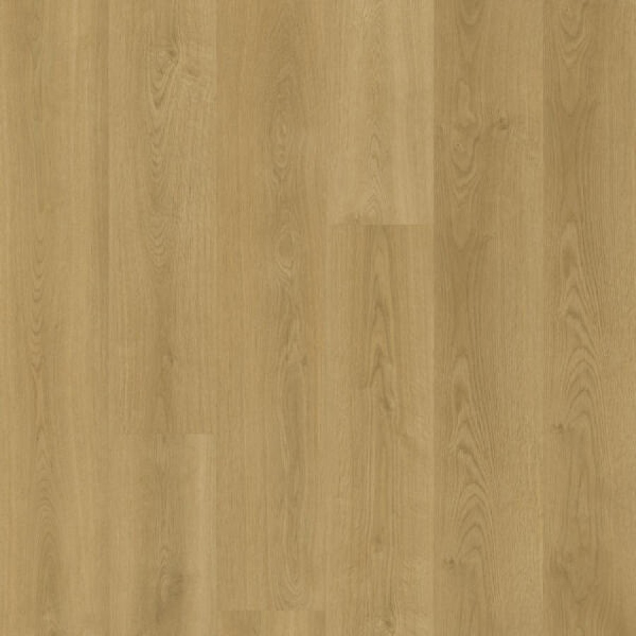 Native Oak 2