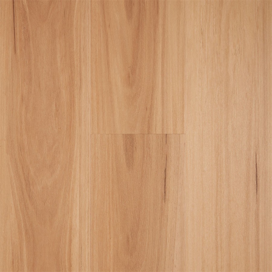 Natural Blackbutt v4