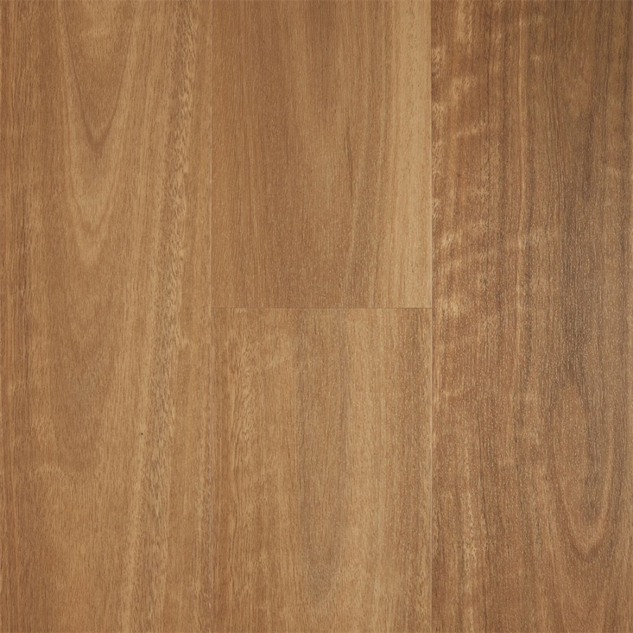 Natural Spotted Gum v3