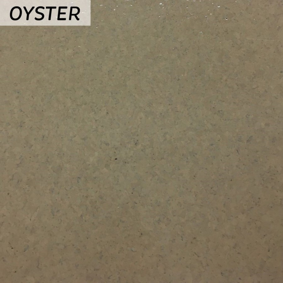 Oyster 1024x1024