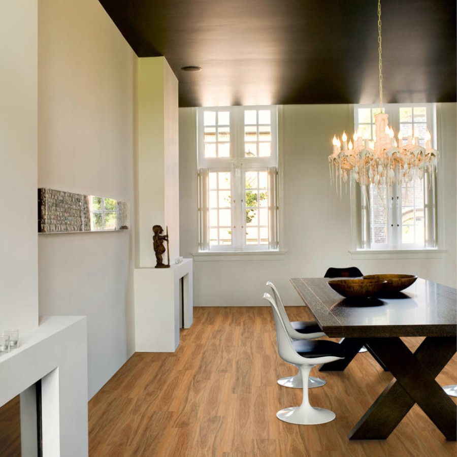 Spotted Gum 1