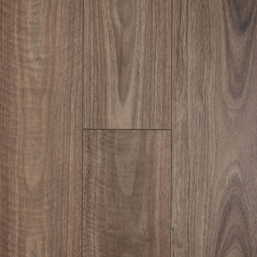 Spotted Gum v4