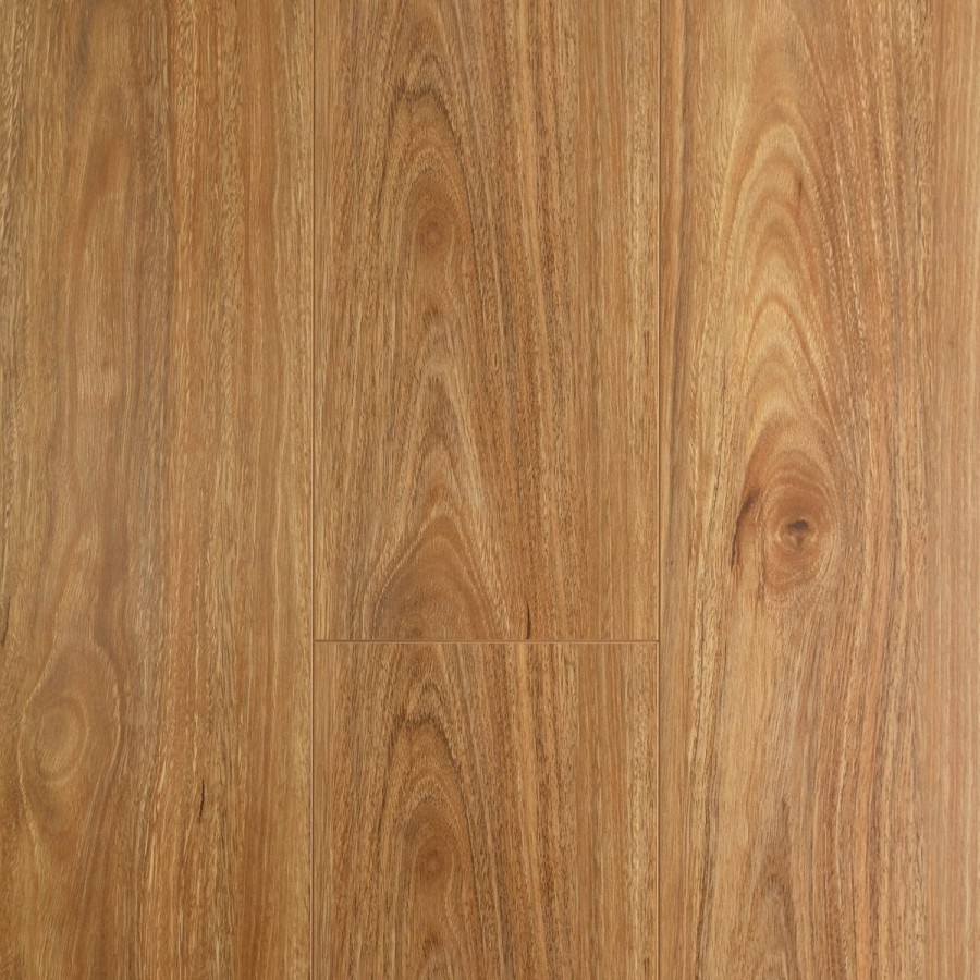 Spotted Gum v7