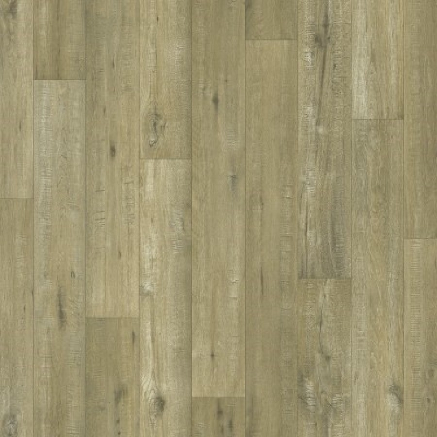 Tasmanian Oak 169M PSH FillWzQwMCw0MDBd