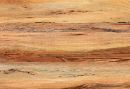 Polyflor Genero Planking